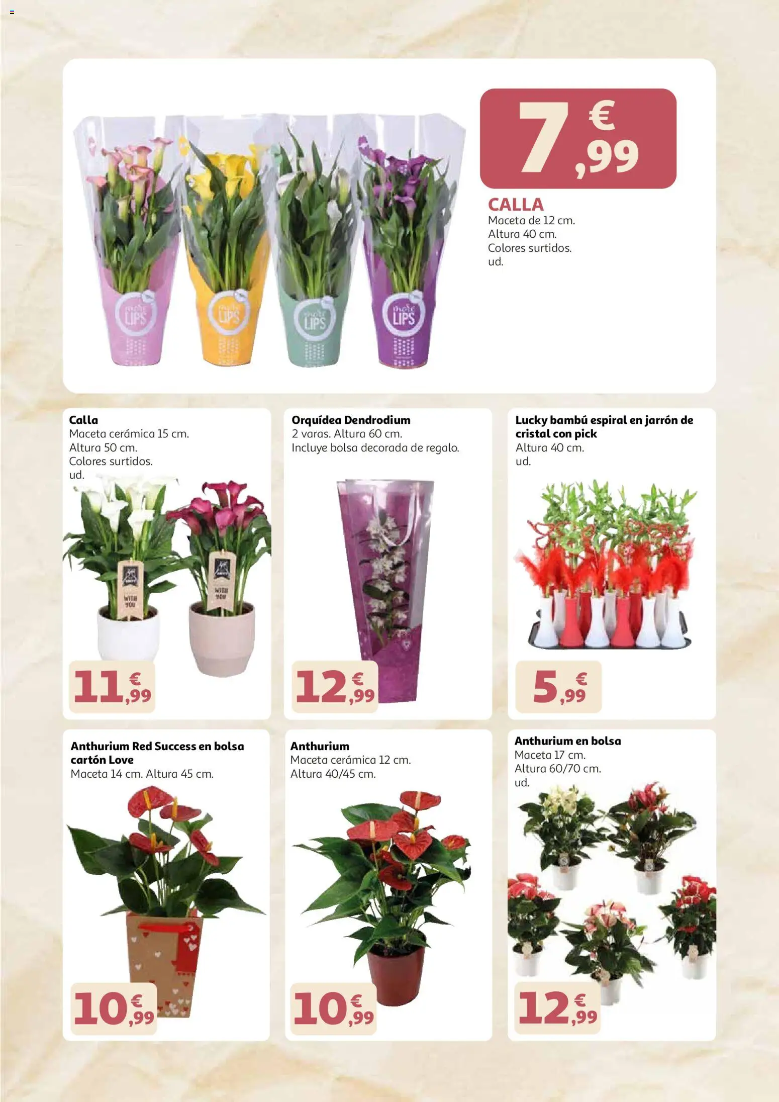 Alcampo - Dia de la madre 2026 │ válido desde el 21.04.2026 | Página: 3 | Productos: Bolsa, Maceta, Jarrón