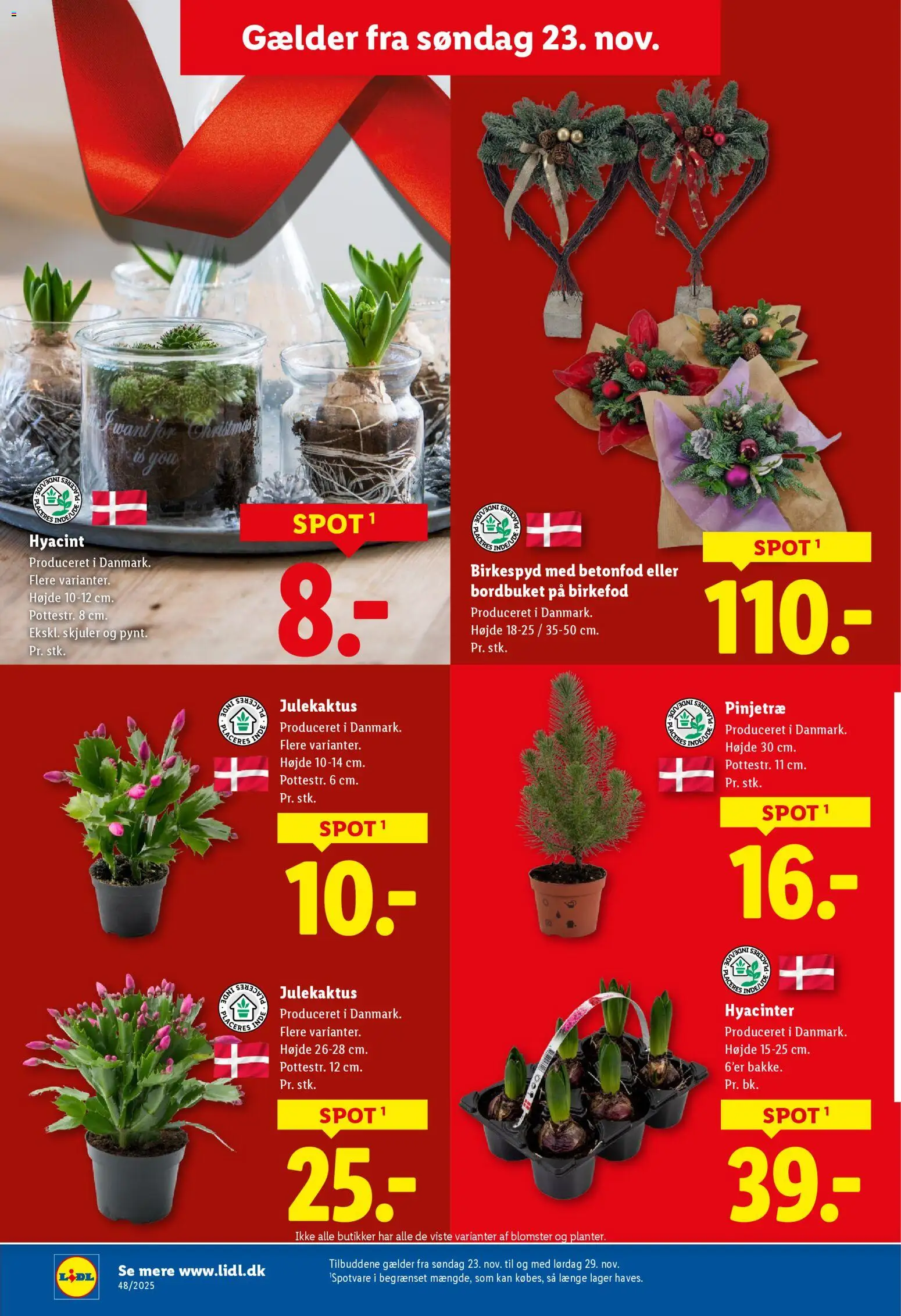 Lidl tilbudsavis – gyldig fra 23.11.2025 | Side: 33 | Produkter: Te, Is, Søm