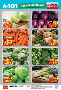 22.01.2026 tarihinden itibaren geçerli olan A101 kataloğu önizlemesi