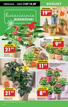 Biedronka gazetka od 07.07.2025 | Strona: 25