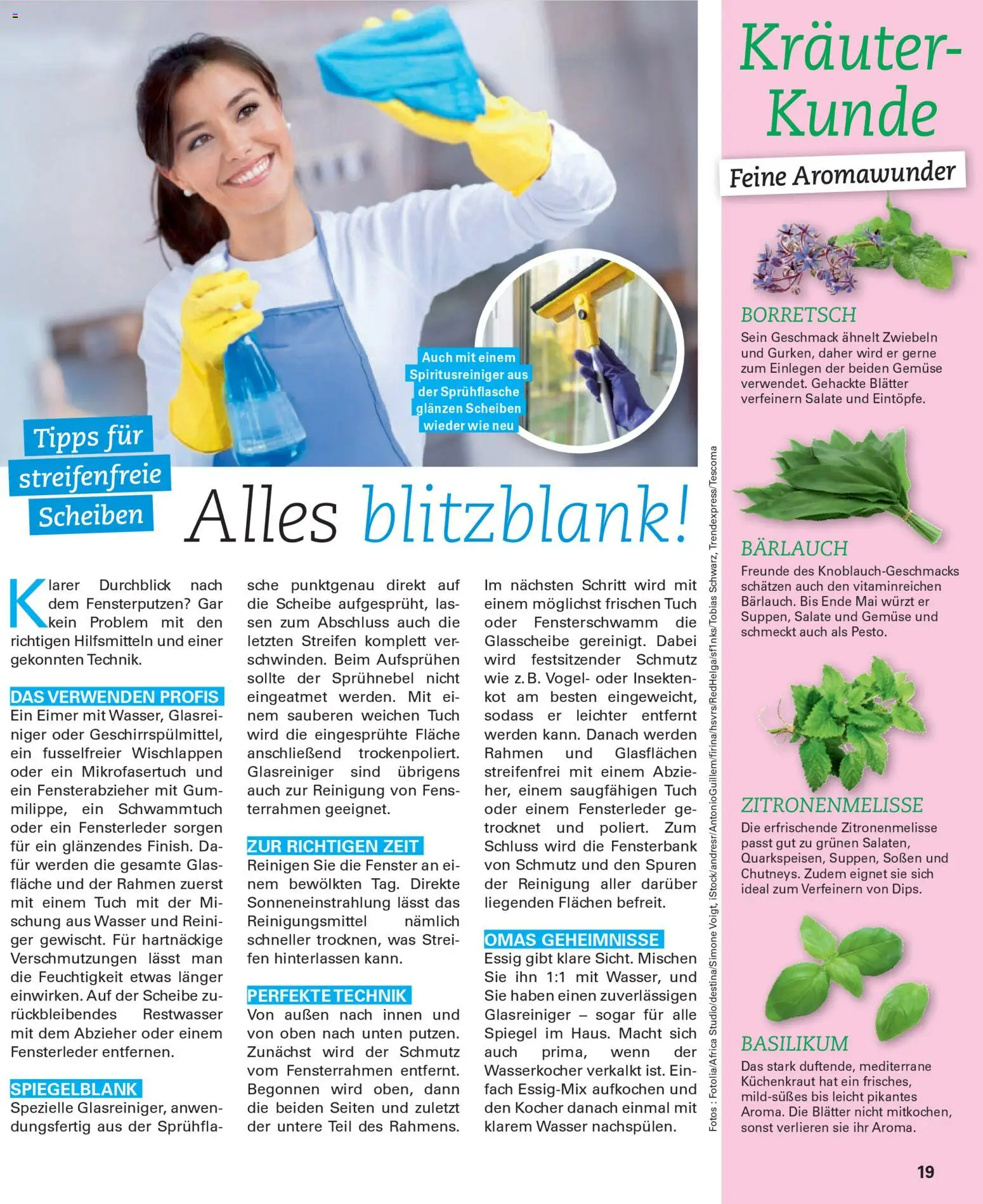 Poco Prospekt Wohnwelt Frühling 2026 – gültig ab 16.02.2026 | Seite: 19 | Produkte: Wasserkocher, Essig, Spiegel, Zwiebeln