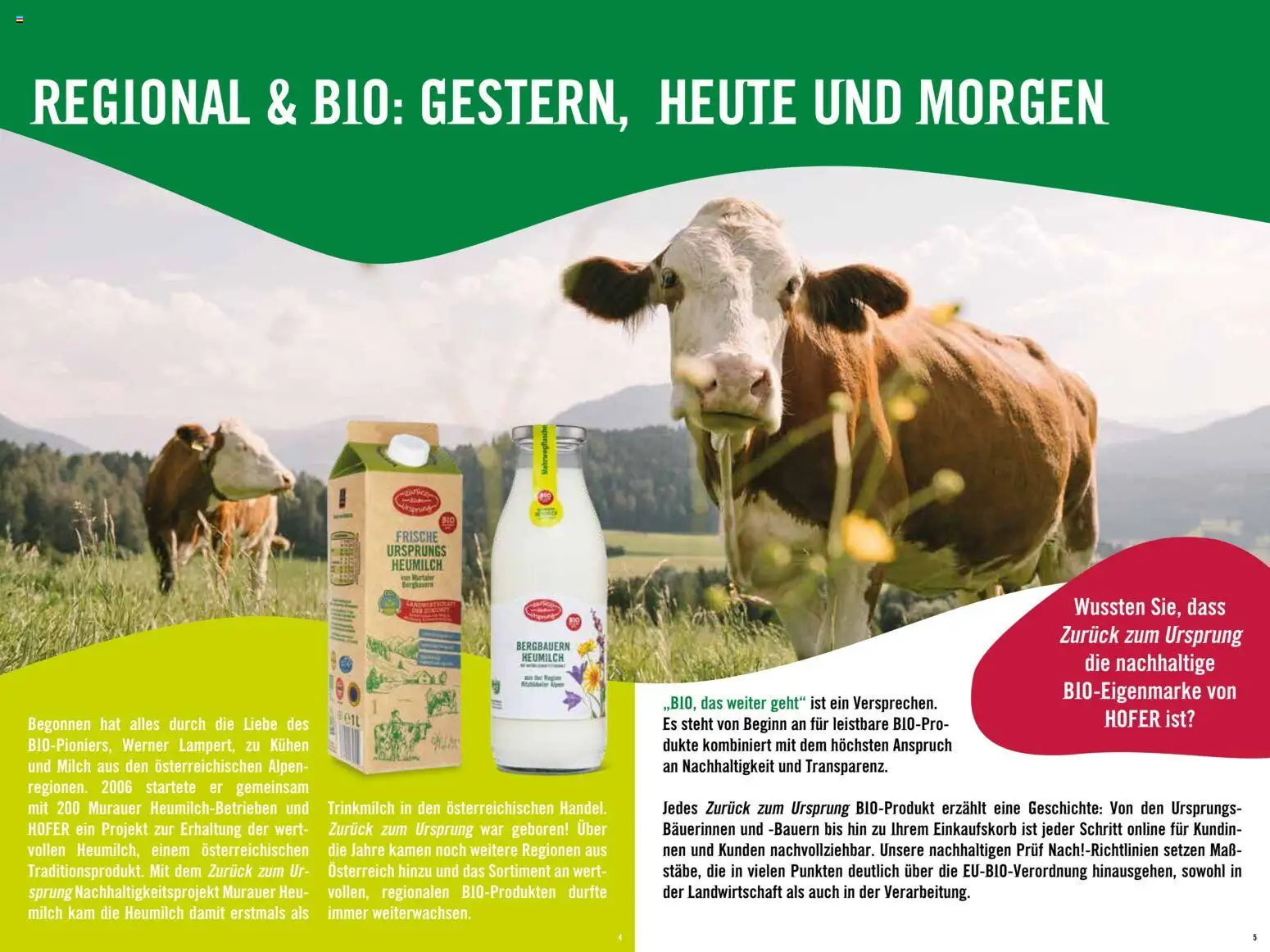 Hofer Alles über die nachhaltige Bio-Eigenmarke  gültig ab 20.02.2026 | Seite: 3 | Produkte: Milch