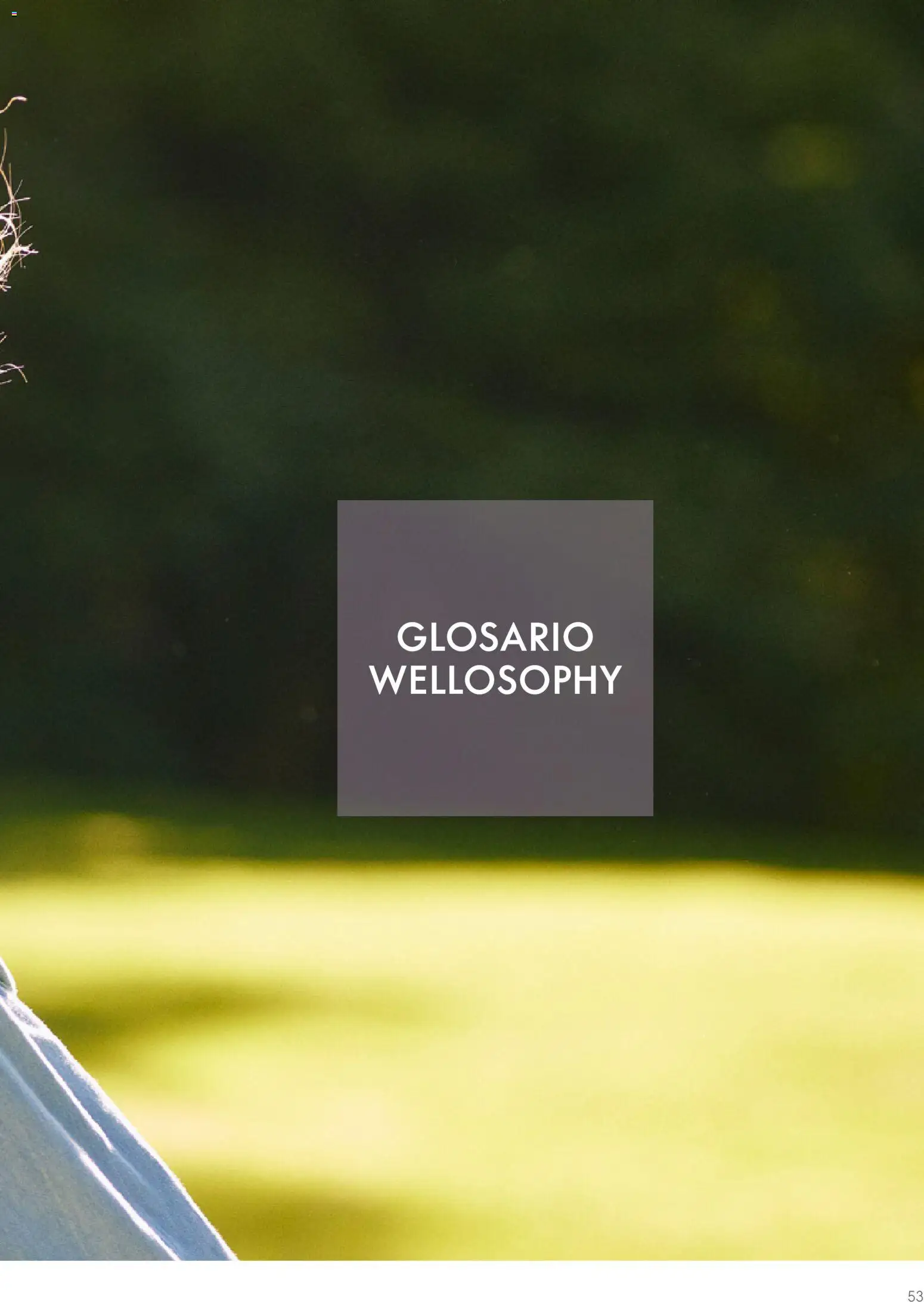 Oriflame - Guía Wellosophy │ válido desde el 01.11.2023 | Página: 53