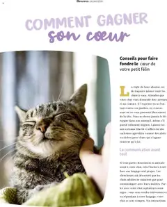 Maxi ZOO - Prévisualisation de Maxi ZOO - Maxizoo Friends  valide à partir de 01.10.2025 | Page: 40 | Produits: Règle, Base