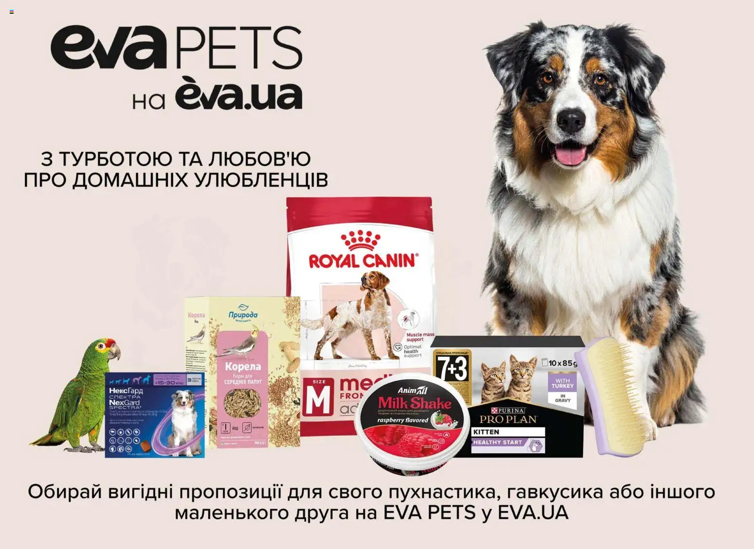 Eva Kаталог - дійснийкції з 23.04.2026 | Сторінка: 44