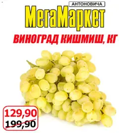 Мегамаркет Kаталог - дійснийкції з 01.08.2025 | Сторінка: 2 | Товари: Виноград