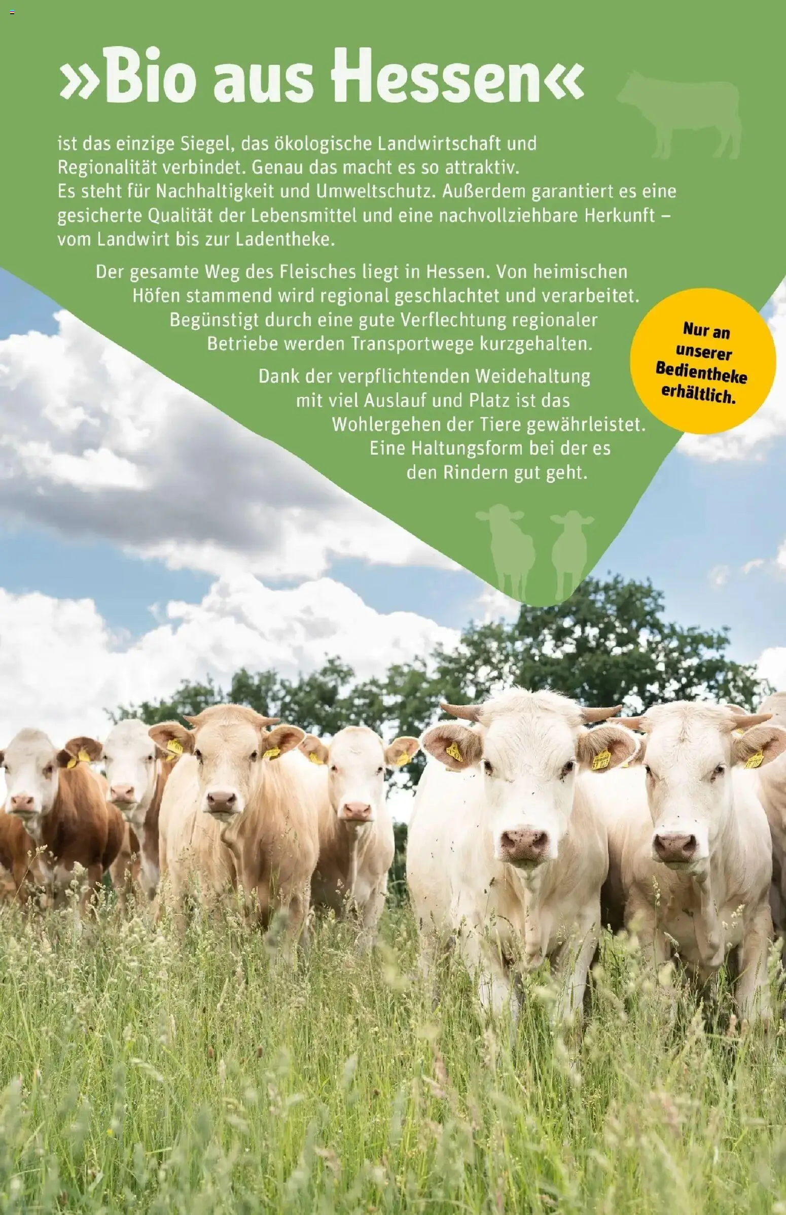 Rewe Prospekt Rodgau/Dudenhofen	 – gültig ab 30.03.2026 | Seite: 46 | Produkte: Fleisch