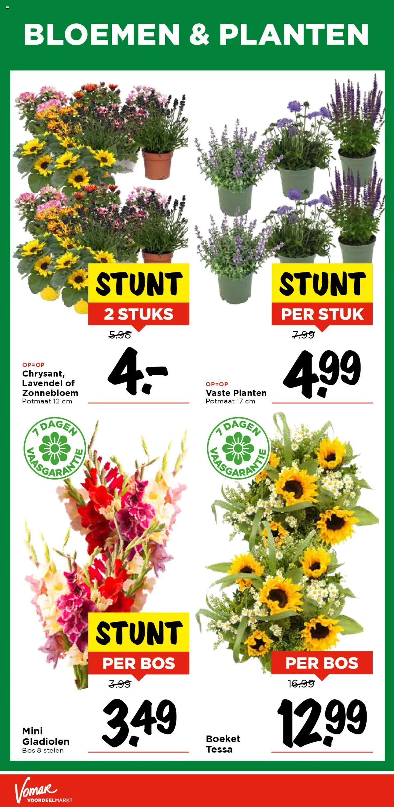  | Pagina: 28 | Producten: Bloemen