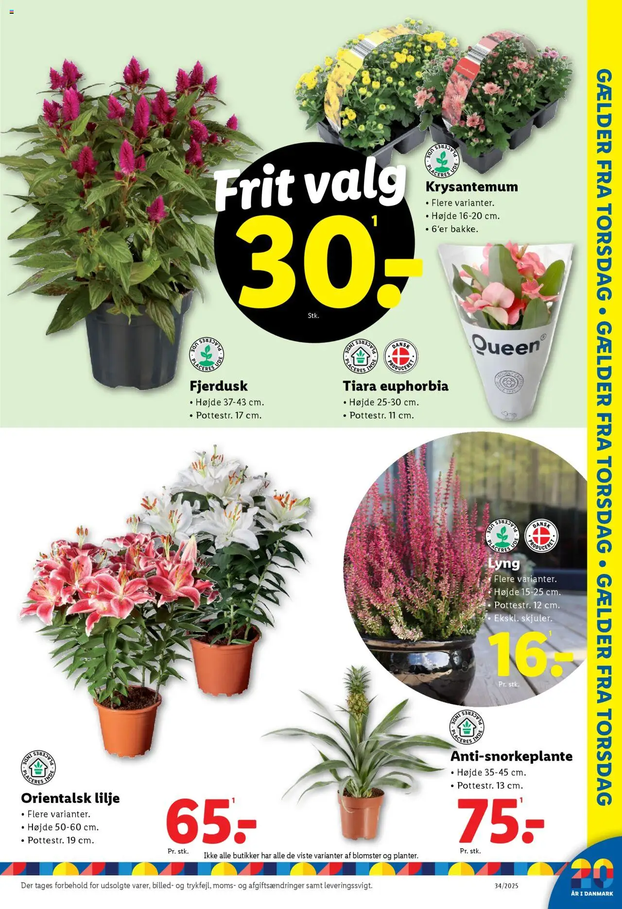Lidl Tilbudsavis gyldig fra 17.08.2025 | Side: 31