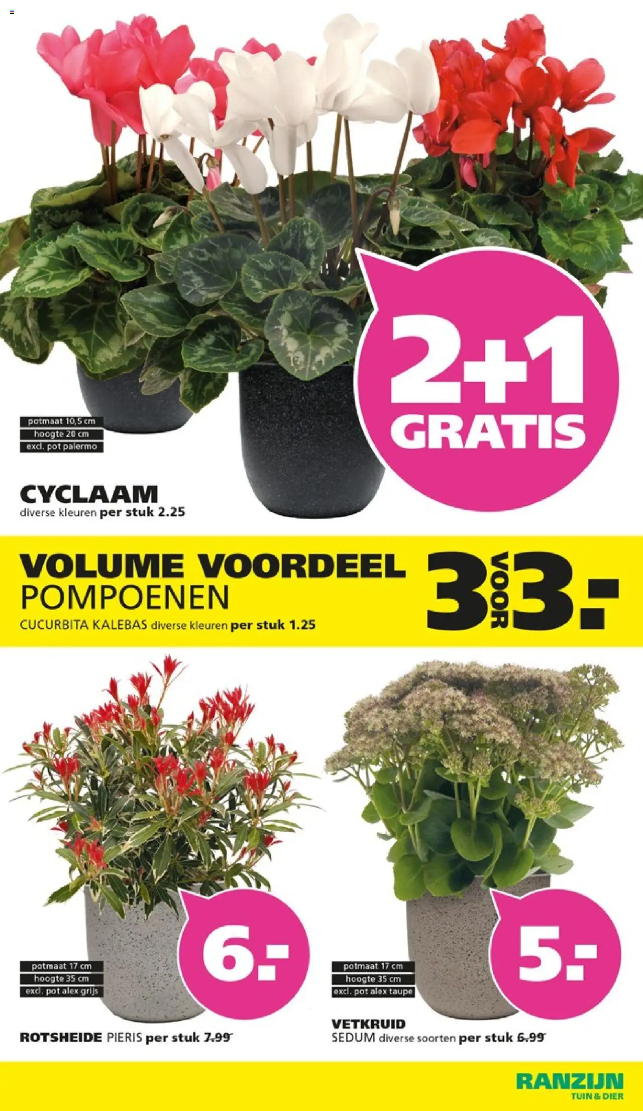  | Pagina: 11 | Producten: Pot