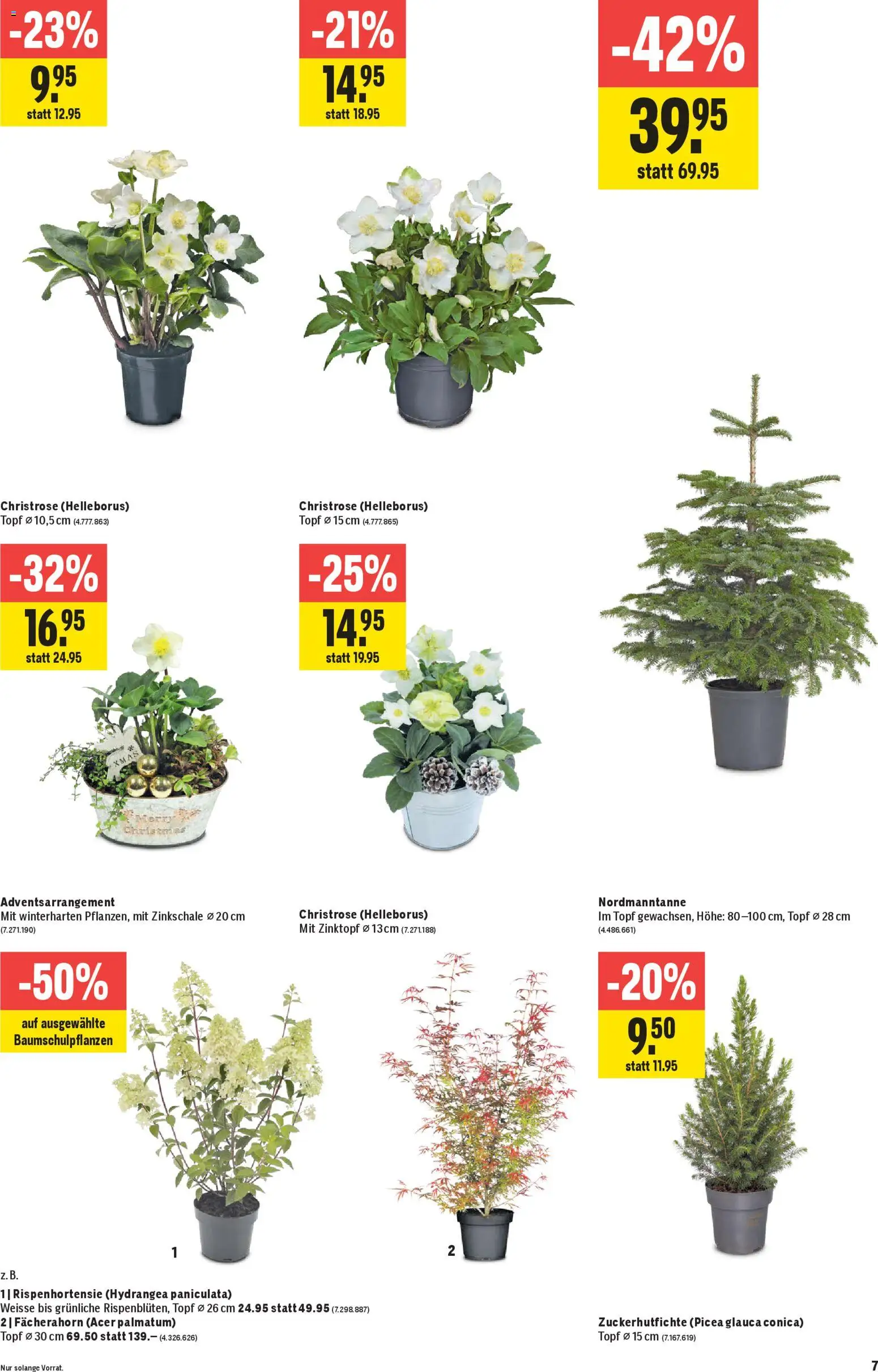 Jumbo Aktionen – gültig ab 06.11.2025 | Seite: 7