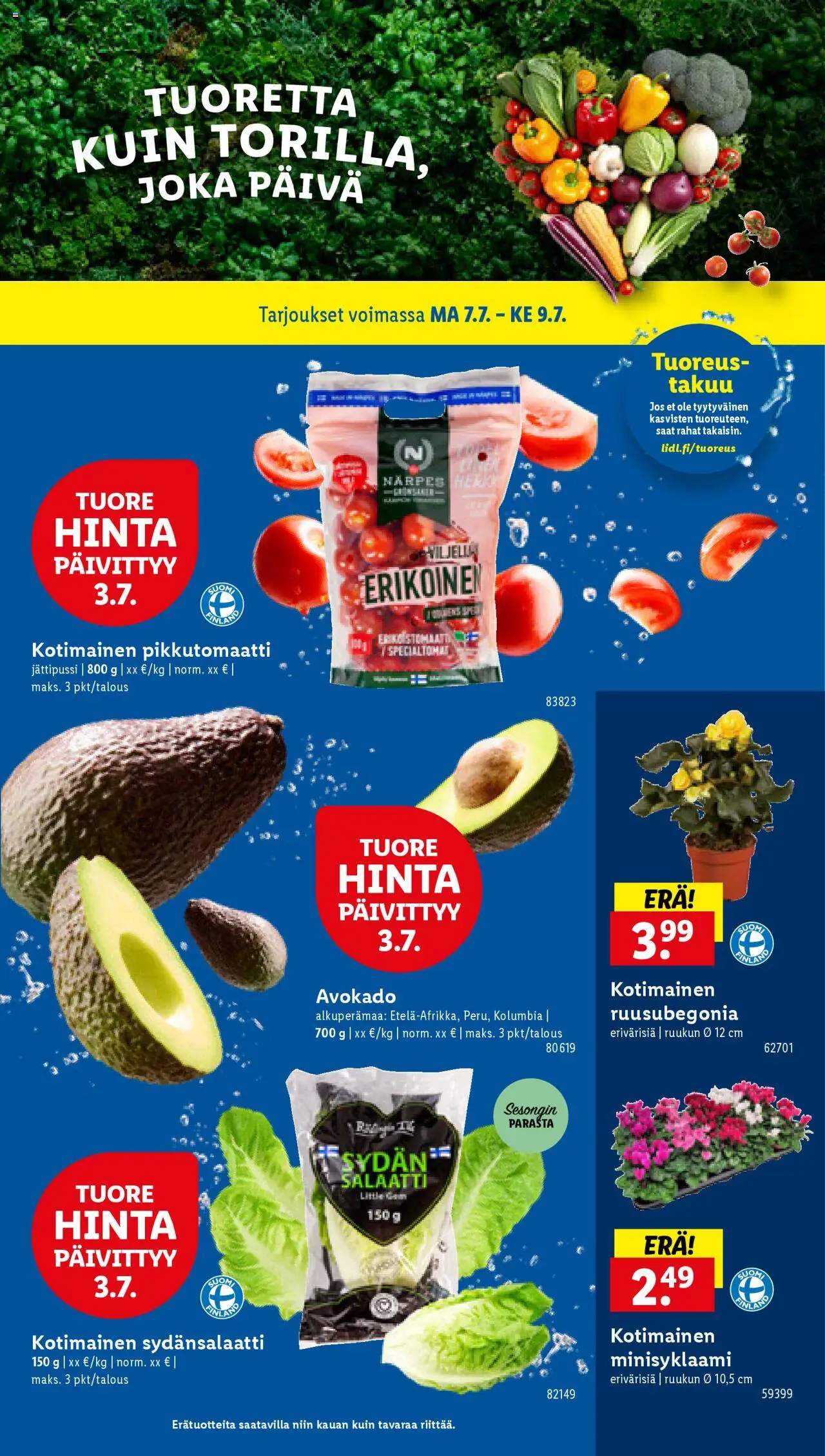  | Sivu: 23 | Tuotteet: Rucola, Avokado, Salaatti