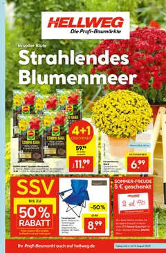 Hellweg Prospekt gültig ab dem 04.08.2025