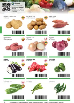 Преглед на METRO брошура - ХоРеКа: Хранителни стоки  - Офертите са валидни от 01.02.2026 | Страница: 58 | Продукти: Картофи, Лук, Пипер, Патладжан