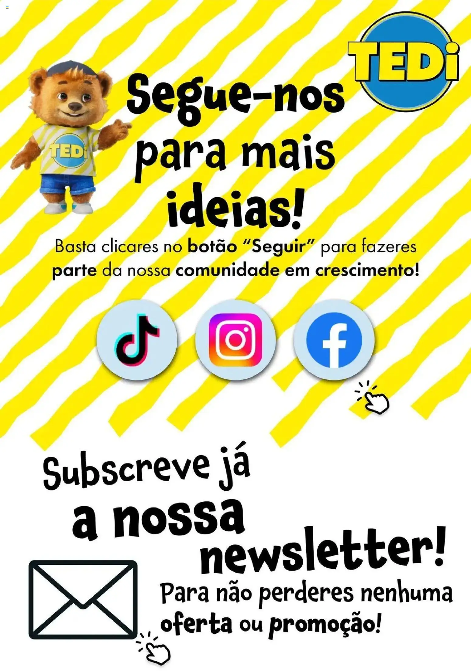 TEDi - folheto │ válido de 31.01.2026 | Página: 13