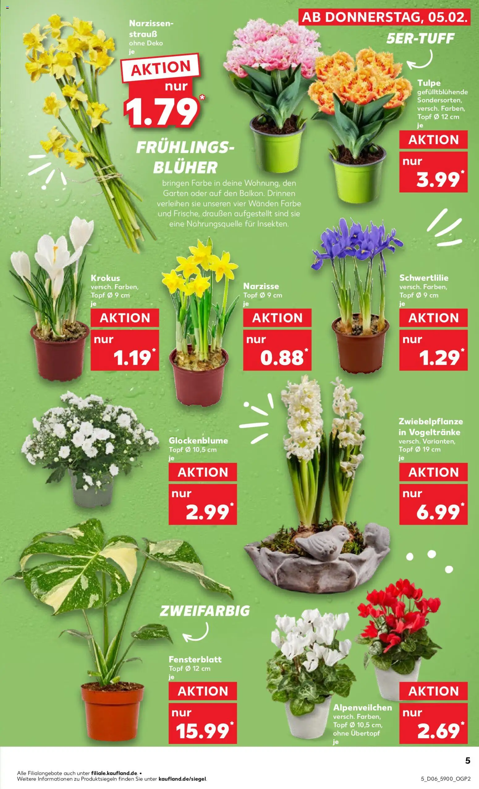 Kaufland prospekt Jena	 – gültig ab 05.02.2026 | Seite: 5