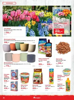 Náhled letáku Uni Hobby leták od 29.01.2026 | Strana: 26 | Produkty: Květináče, Zahrada, Česnek, Cibule