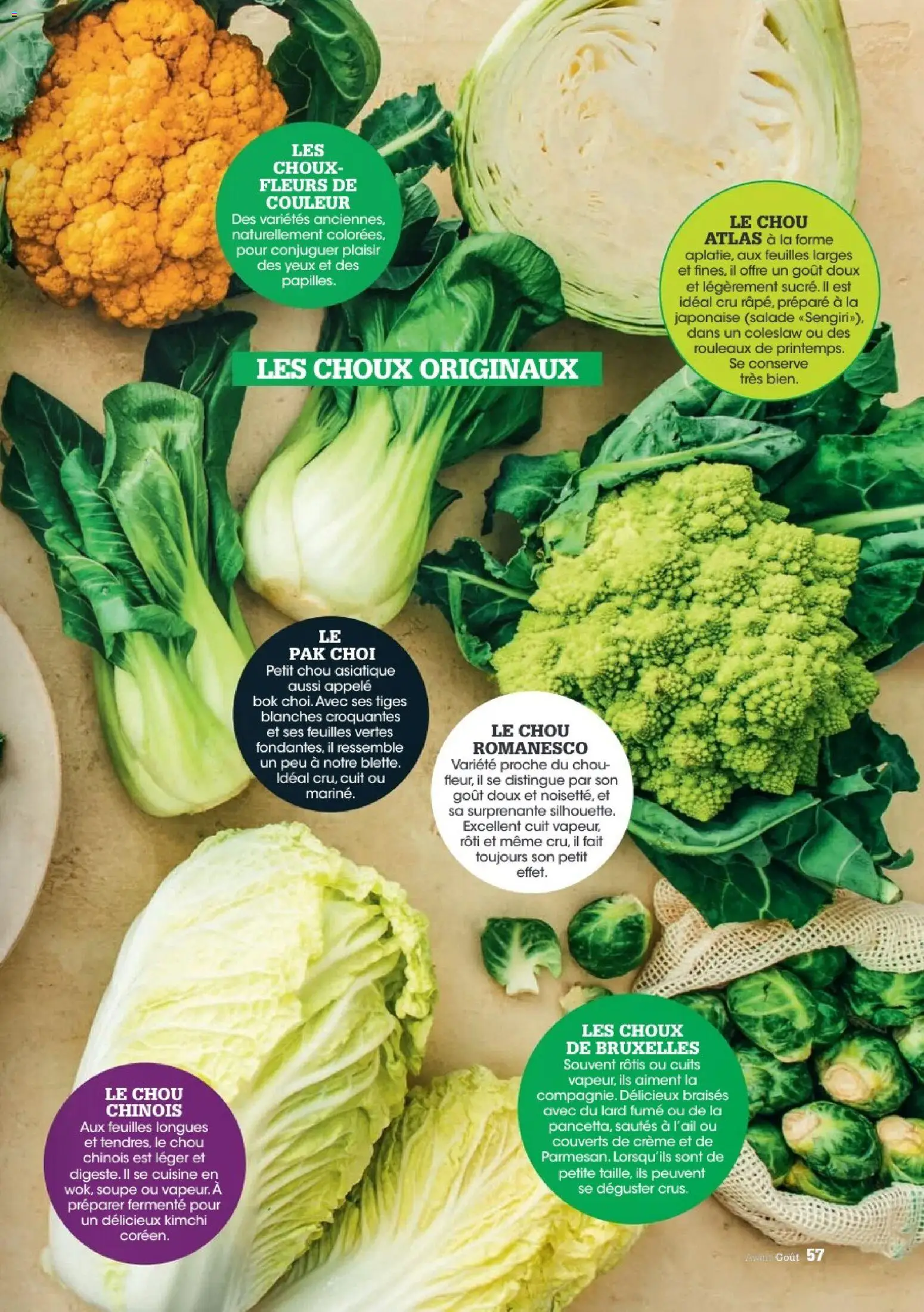 {H1} | Page: 57 | Produits: Salade, Soupe, Crème