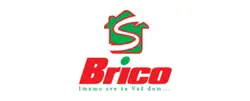 Brico S logo -