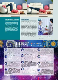 Pingvin Patika - Pingvin Magazin - amely érvényes a következő dátumtól: 01.11.2025 | Oldal: 13 | Termékek: Halak, Alma