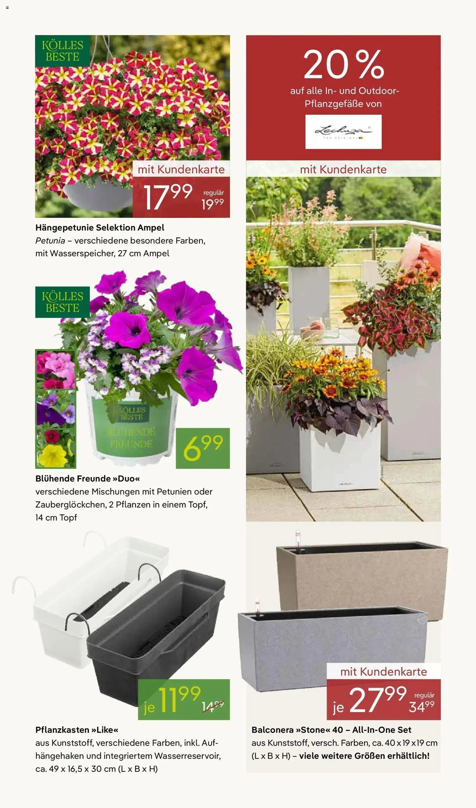 Pflanzen-Kölle Blütenzauber für Zuhause – gültig ab 20.04.2026 | Seite: 3