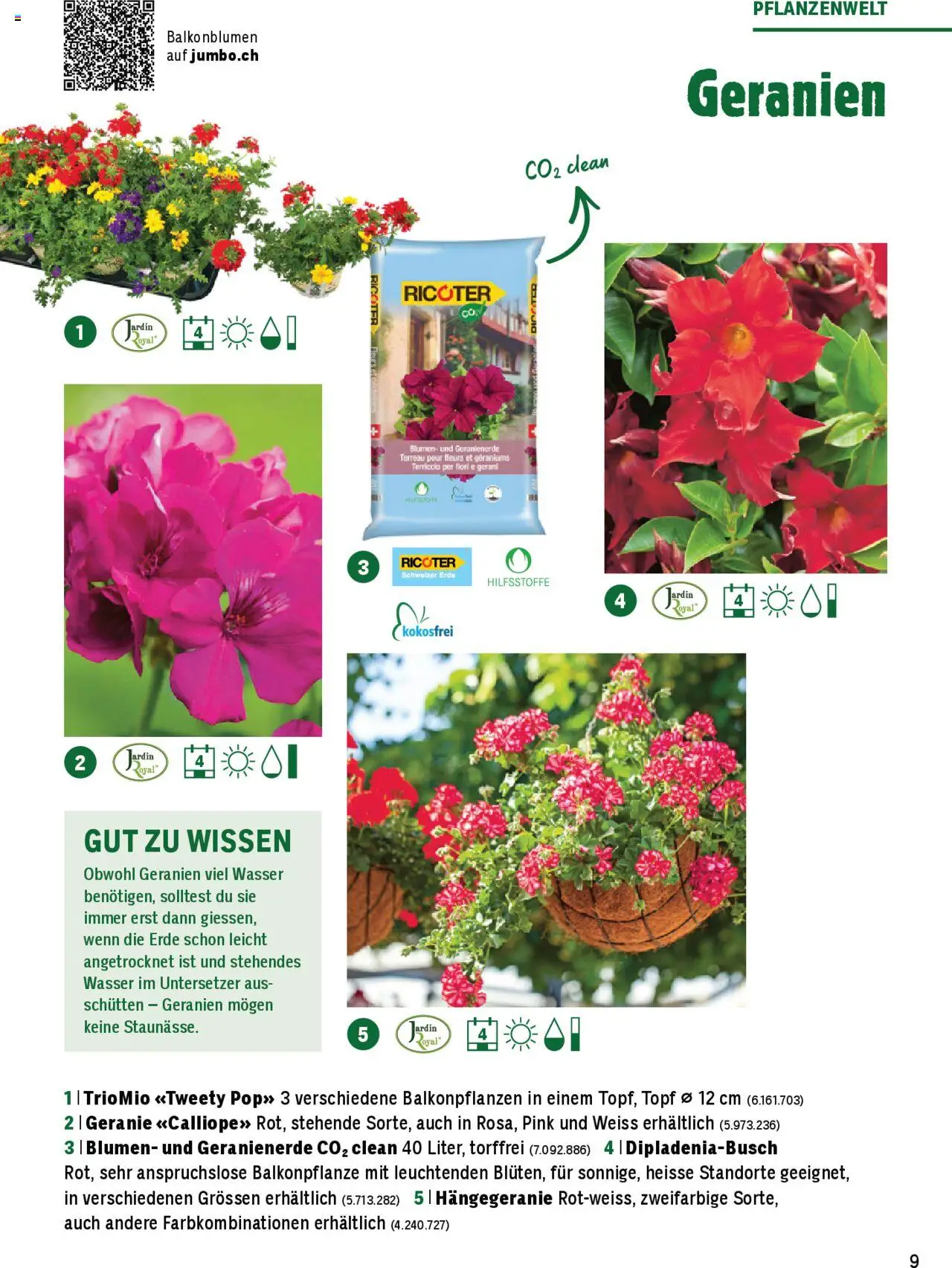 Jumbo Aktionen Dein Garten 2025 ab 21.02.2025 | Seite: 9 | Produkte: Wasser