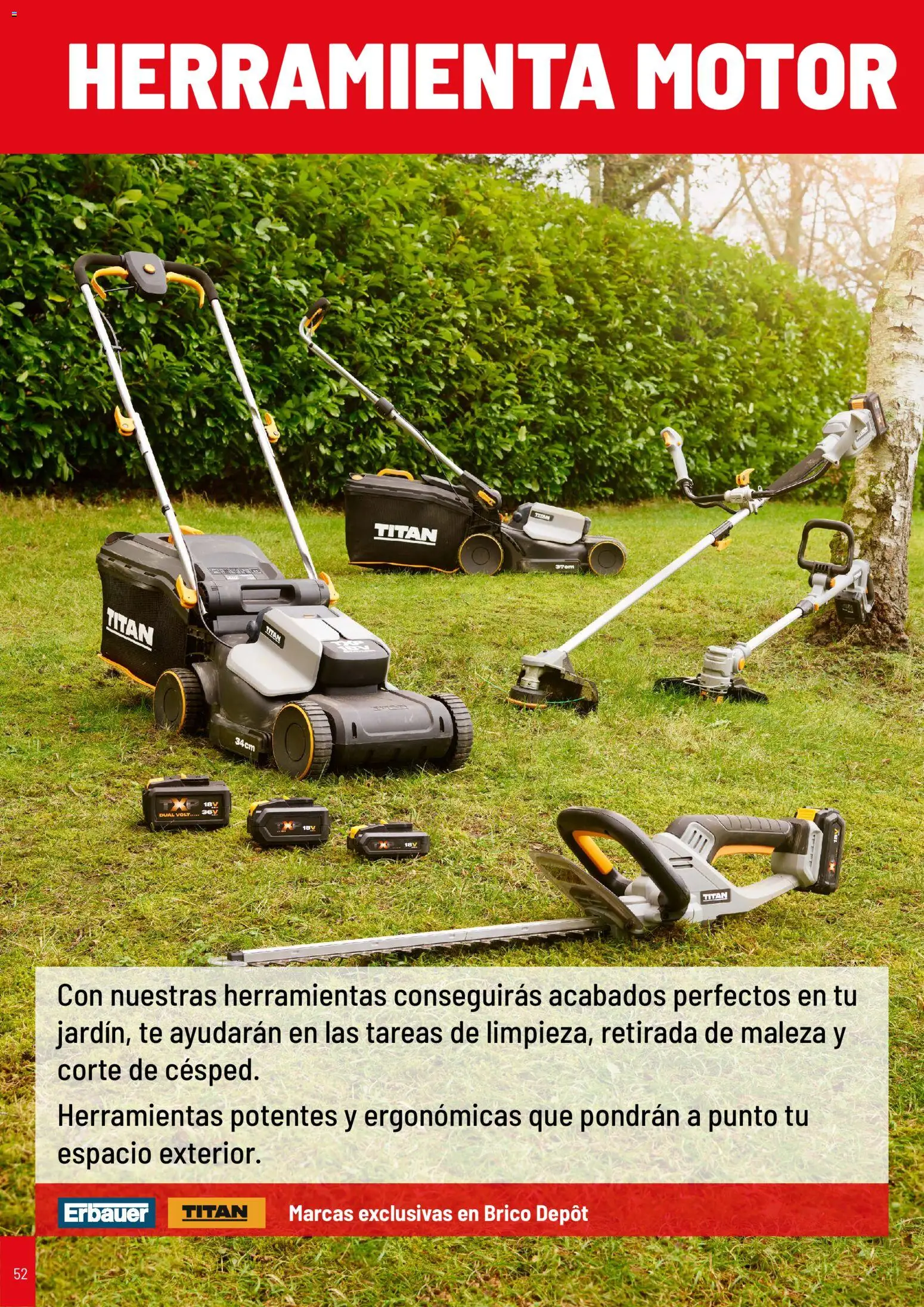 Brico Depôt folleto Jardín 2026 │ válido desde el 02.04.2026 | Página: 52 | Productos: Té