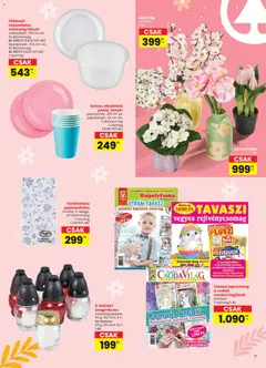 Interspar Tavasz katalógus - amely érvényes a következő dátumtól: 04.03.2026 | Oldal: 17 | Termékek: Váza, Tányér, Művirág