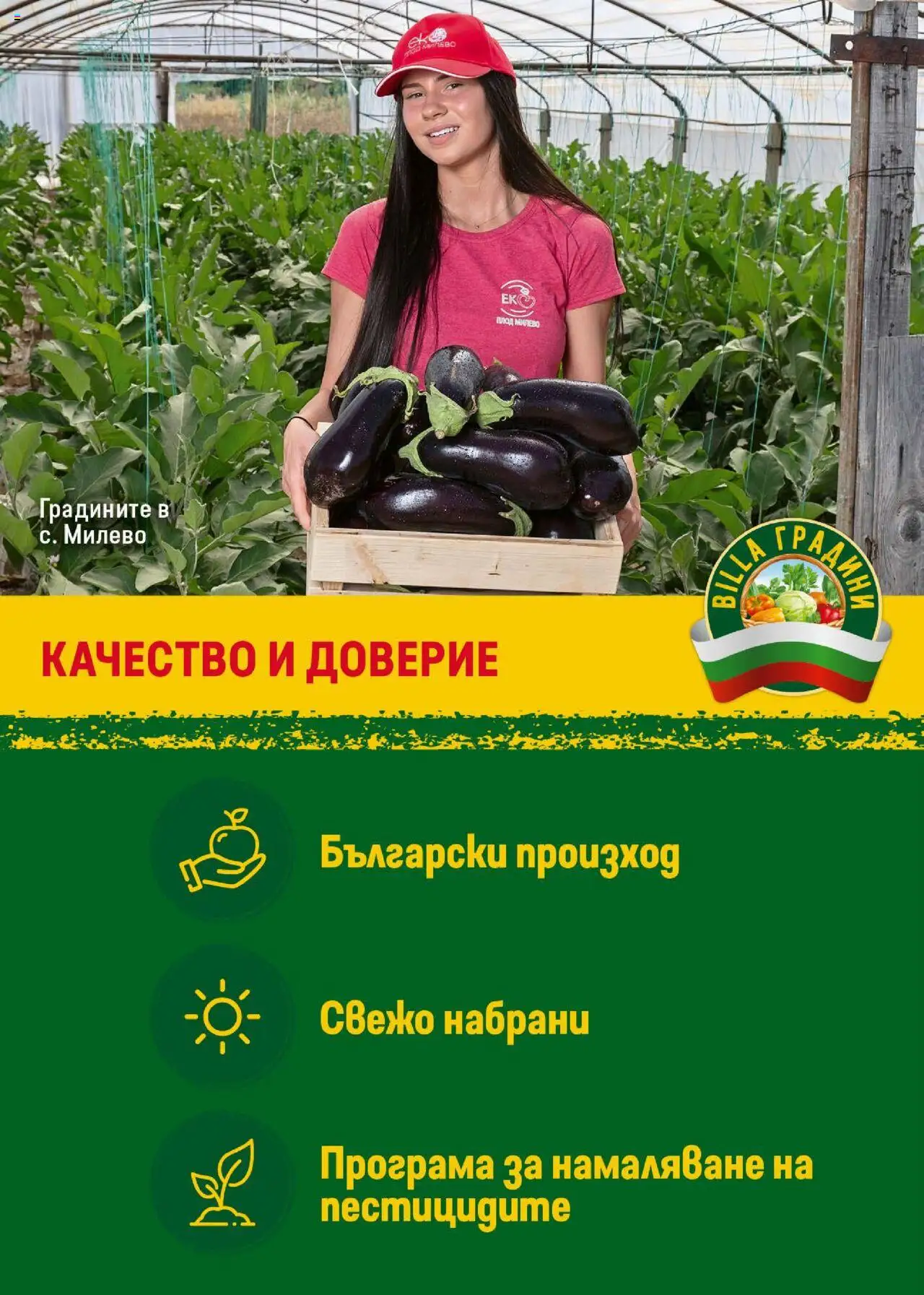  | Страница: 9