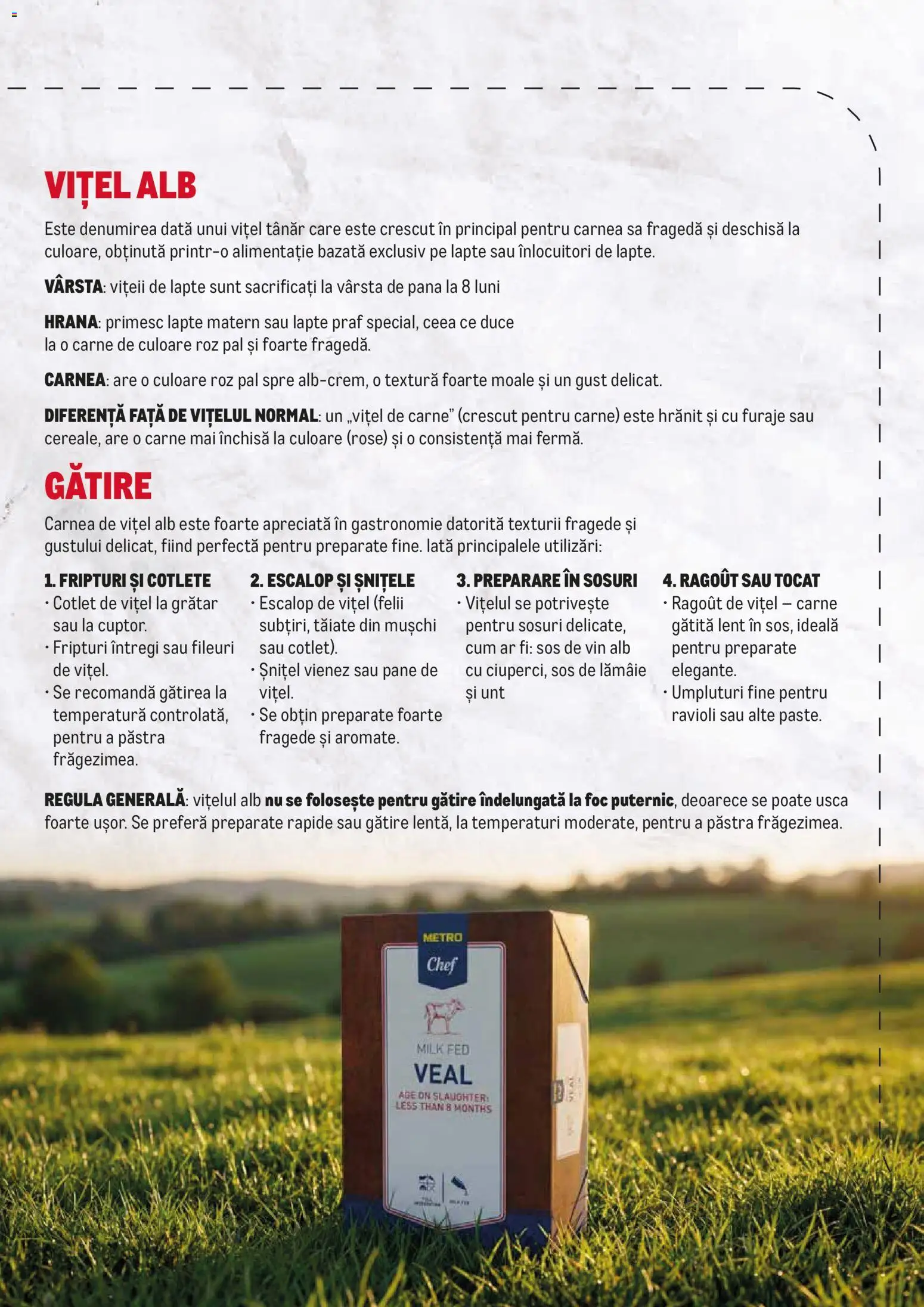Noul catalog Metro – valabil de la 23.02.2026 | Pagină: 2 | Produse: Lapte praf, Lait de coco, Grătar, Lapte