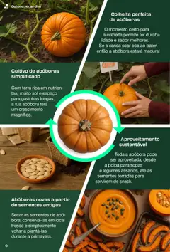 Pré-visualização Lidl - A Revista de Bricolage válido de 01.09.2025 | Página: 9 | Produtos: Abóbora