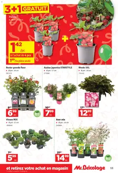 Mr Bricolage folder / publicité - Voorbeeld van een folder van Mr Bricolage, geldig van 31.03.2026 | Pagina: 11 | Producten: Pot