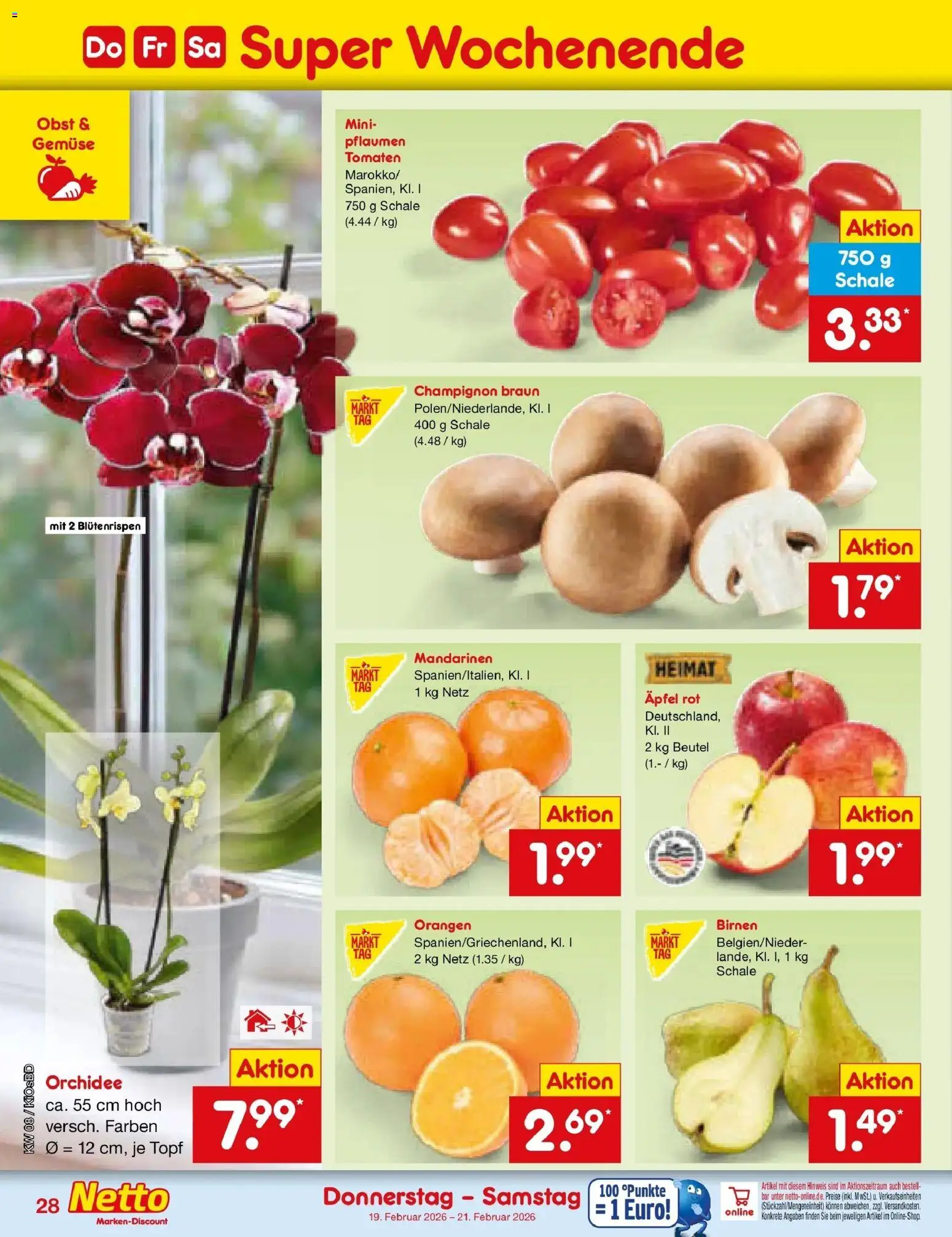Netto Marken-Discount prospekt Mistelbach	 – gültig ab 16.02.2026 | Seite: 42 | Produkte: Orchidee, Äpfel, Orangen, Tomaten