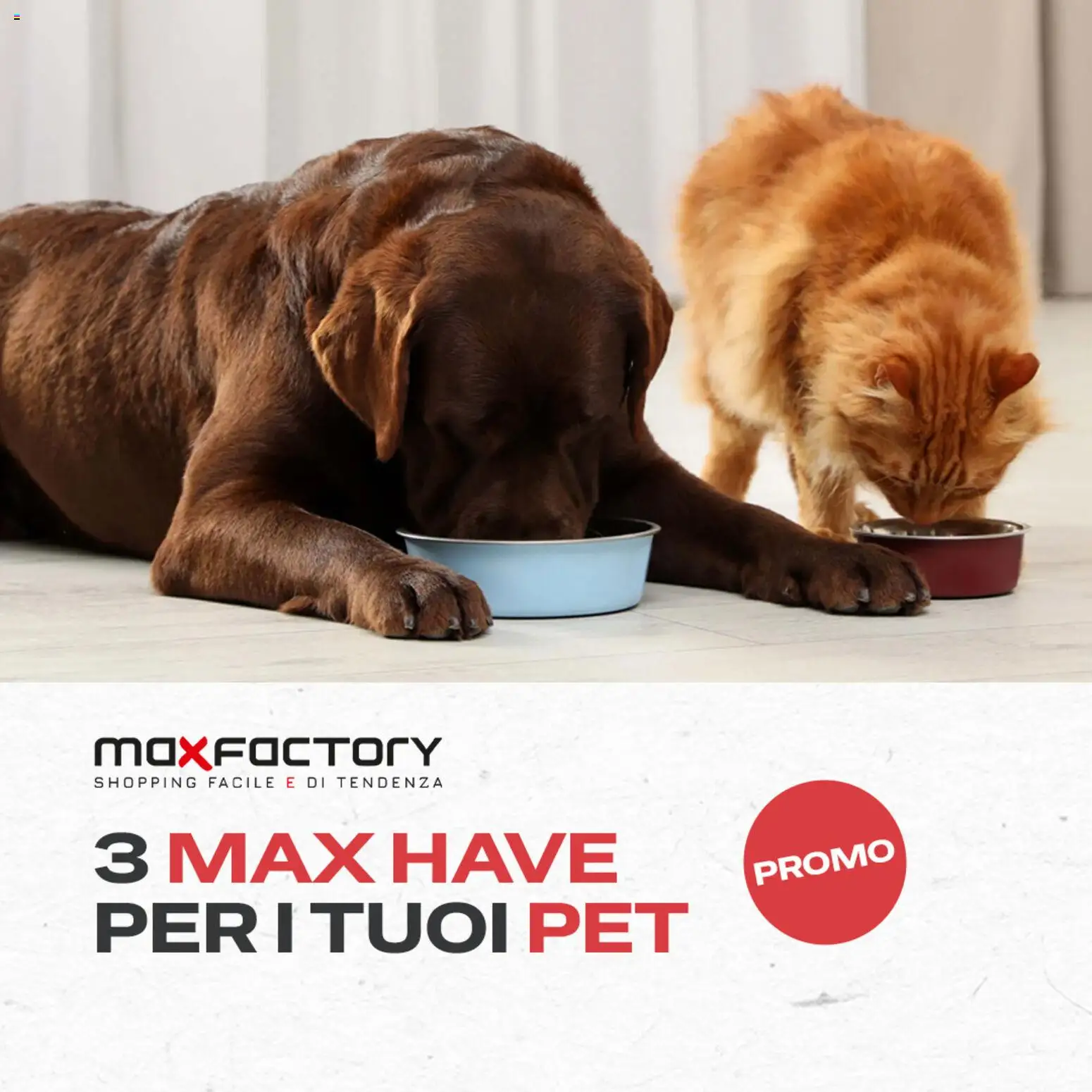 Volantino Max Factory del 03.03.2026 | Pagina: 1