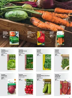 Noul catalog Brico Depot – valabil de la 14.02.2025 | Pagină: 3