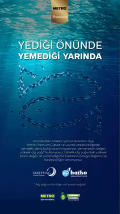 Metro Sürdürülebilir Ürünler Kataloğu - 06.06.2025 tarihinden itibaren geçerlidir | Sayfa: 29 | Ürünler: Levrek, Çipura