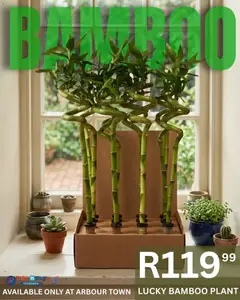 Take n Pay specials catalogue – valid from 25.03.2026