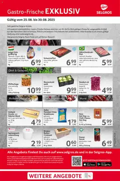 Selgros Gastro Angebote gültig ab dem 25.08.2025