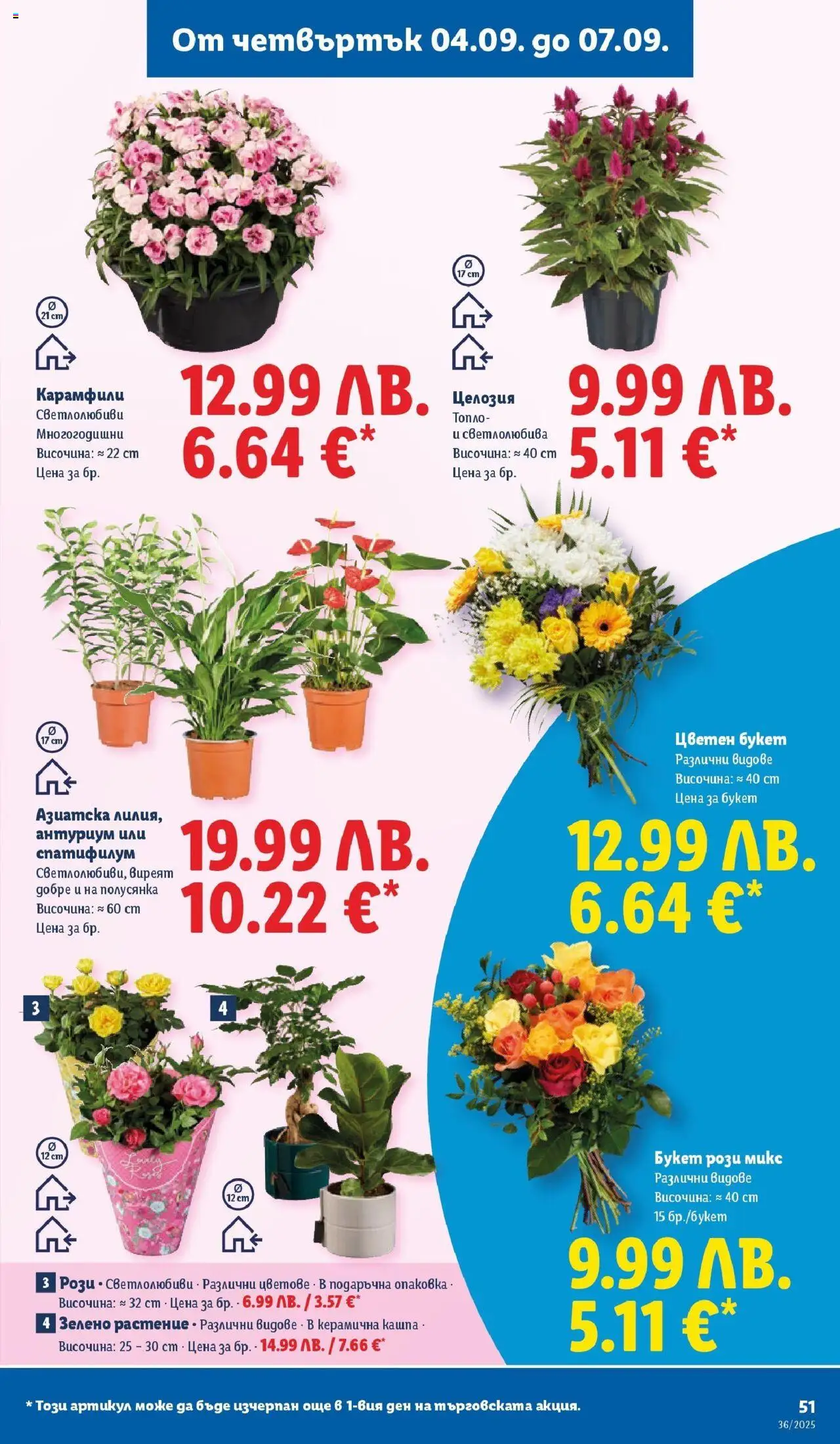 {H1} | Страница: 53 | Продукти: Кашпа