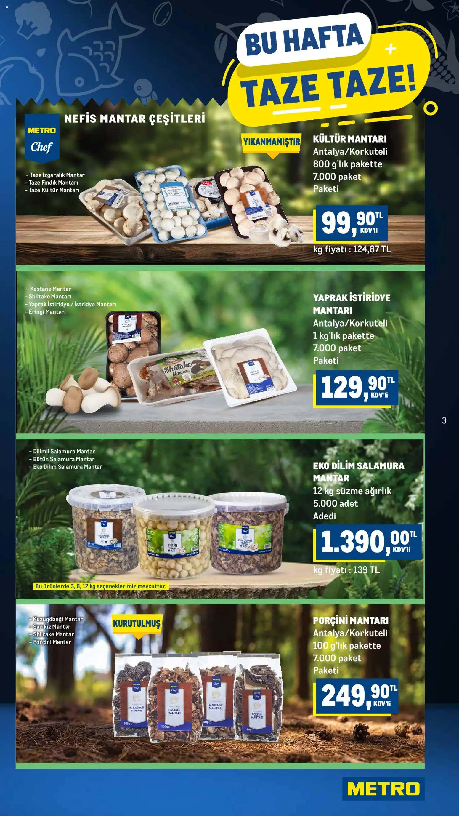 Metro Katalog - 12.11.2025 tarihinden itibaren geçerlidir | Sayfa: 3 | Ürünler: Fındık, Kestane, Mantar, Ağırlık