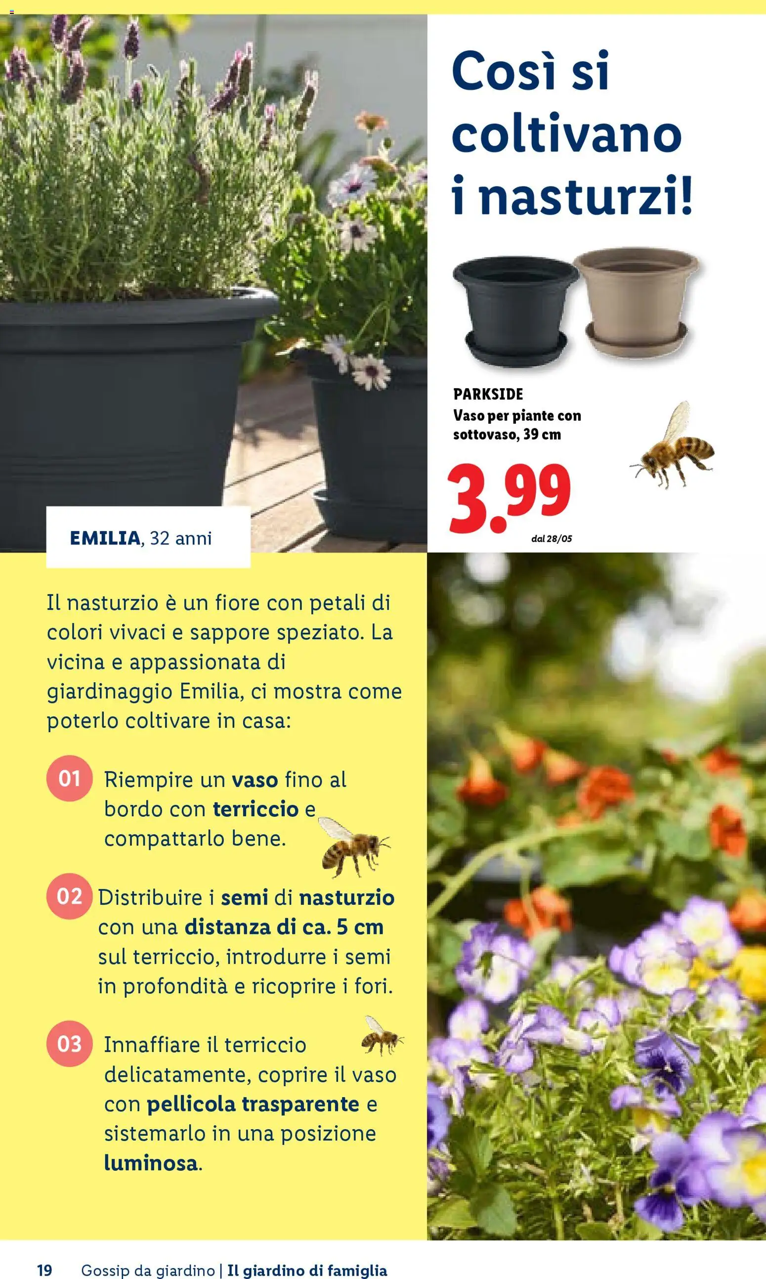 Volantino Lidl del 23.04.2026 | Pagina: 19 | Prodotti: Pellicola, Terriccio, Vaso