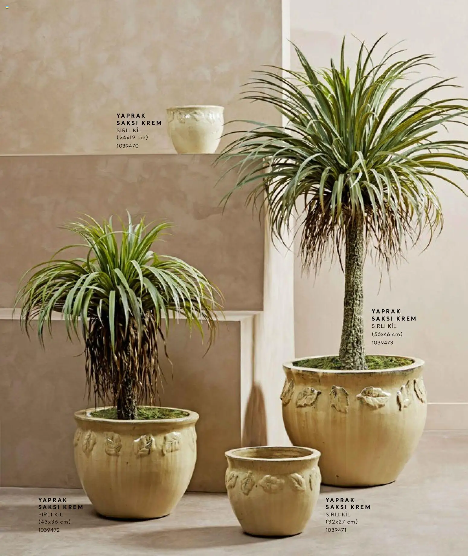 Mudo - Katalog Saksi 2026 - 01.01.2026 tarihinden itibaren geçerlidir | Sayfa: 51 | Ürünler: Saksı, Krem