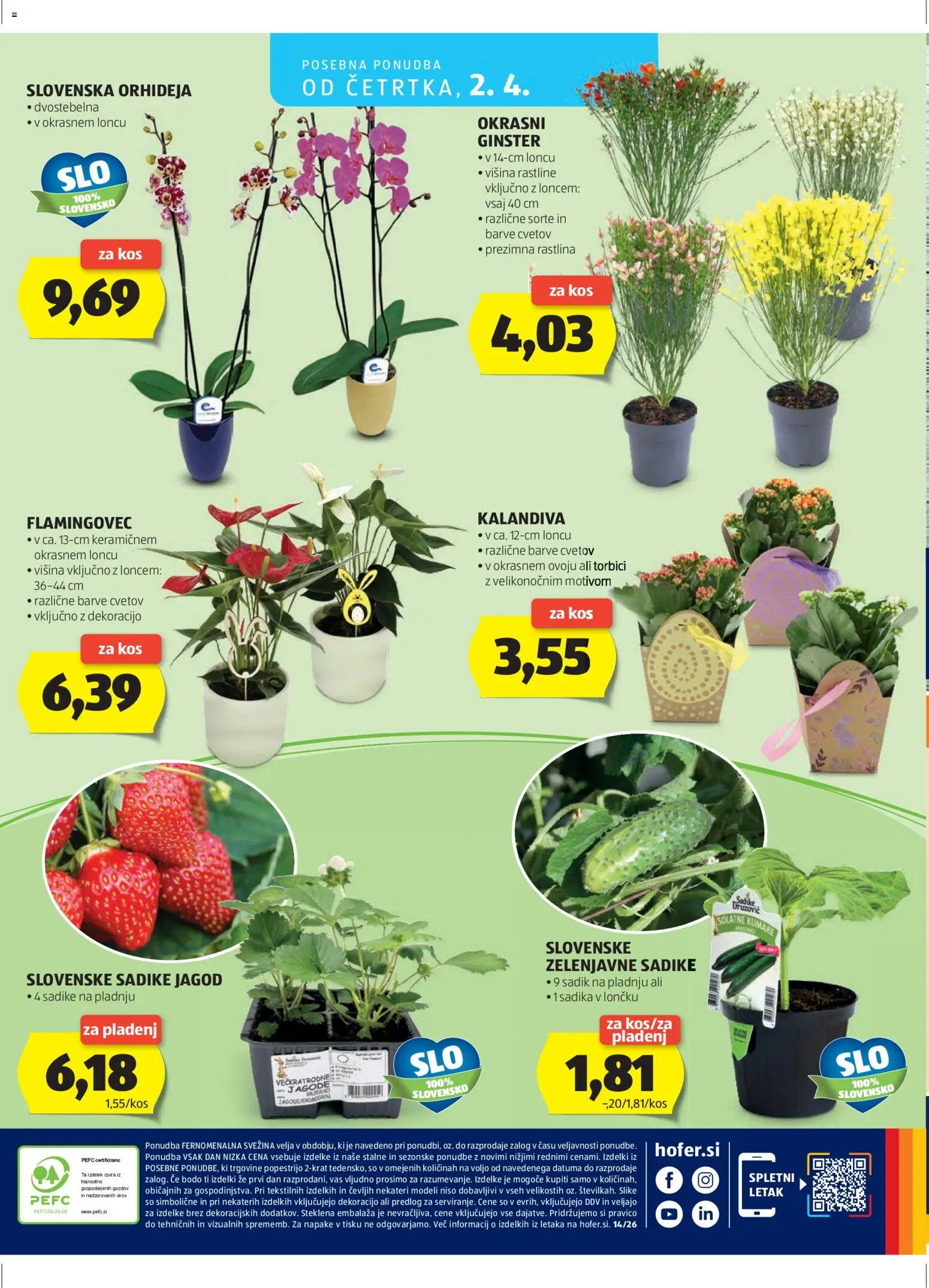 Hofer SI katalog | vrijedi od 25.03.2026 | Stranica: 28 | Proizvodi: Orhideja, Jagode
