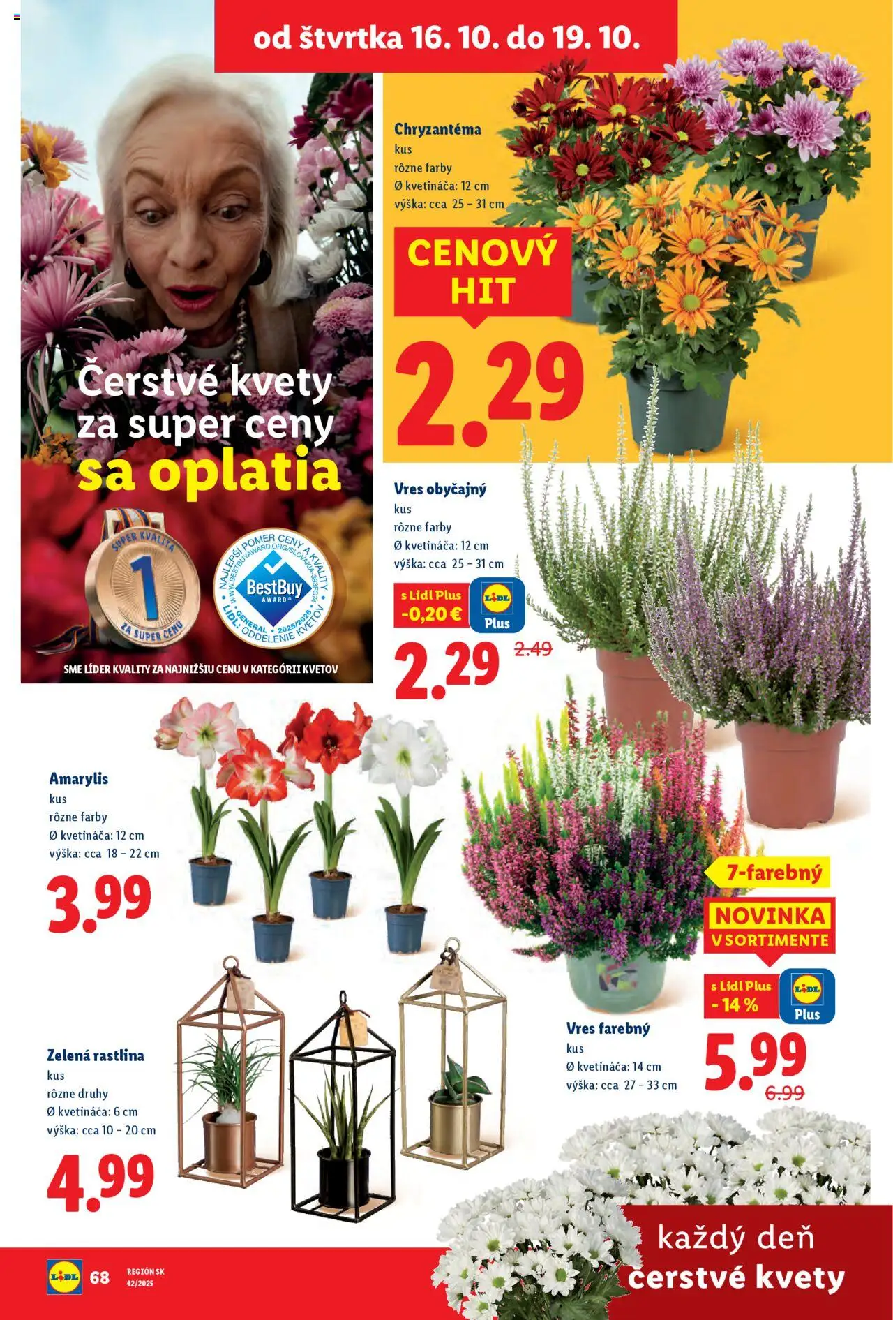 Nové Lidl akcie – leták je platný od 13.10.2025 | Strana: 92 | Produkty: Kvety