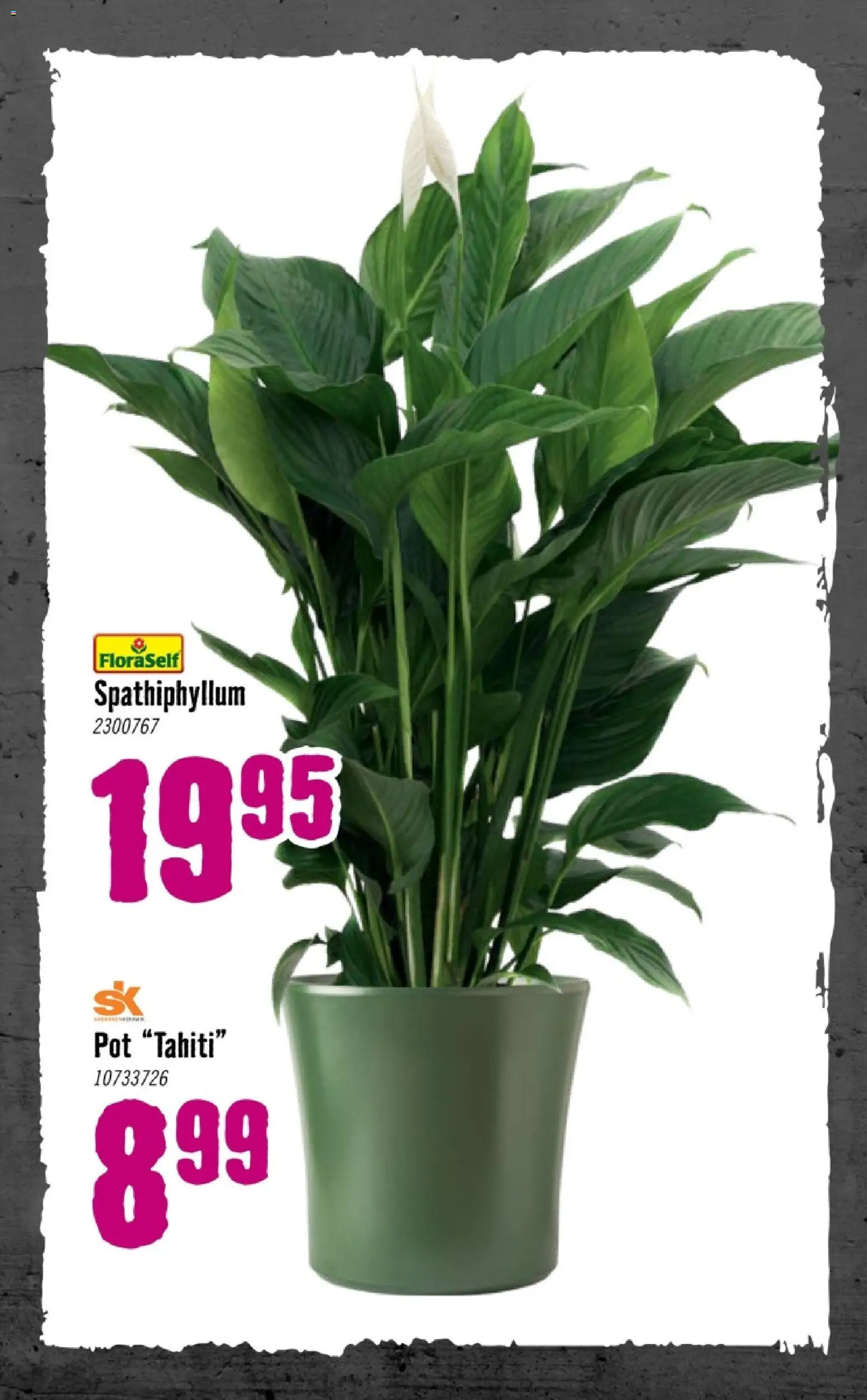 {H1} | Pagina: 74 | Producten: Pot