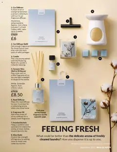  | Page: 202 | Products: Fragrance, Door, Oil, Wardrobe