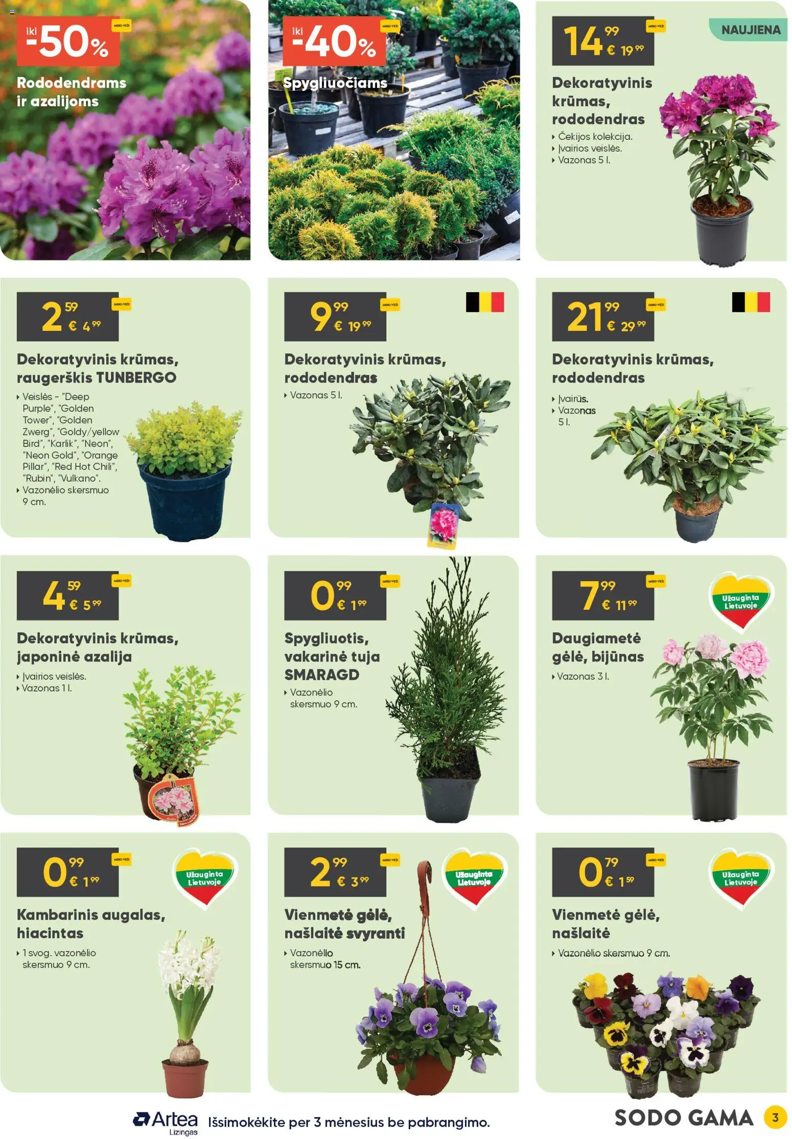 MOKI VEŽI akcijos nuo 02.04.2026 | Puslapis: 3 | Prekių: Vazonas