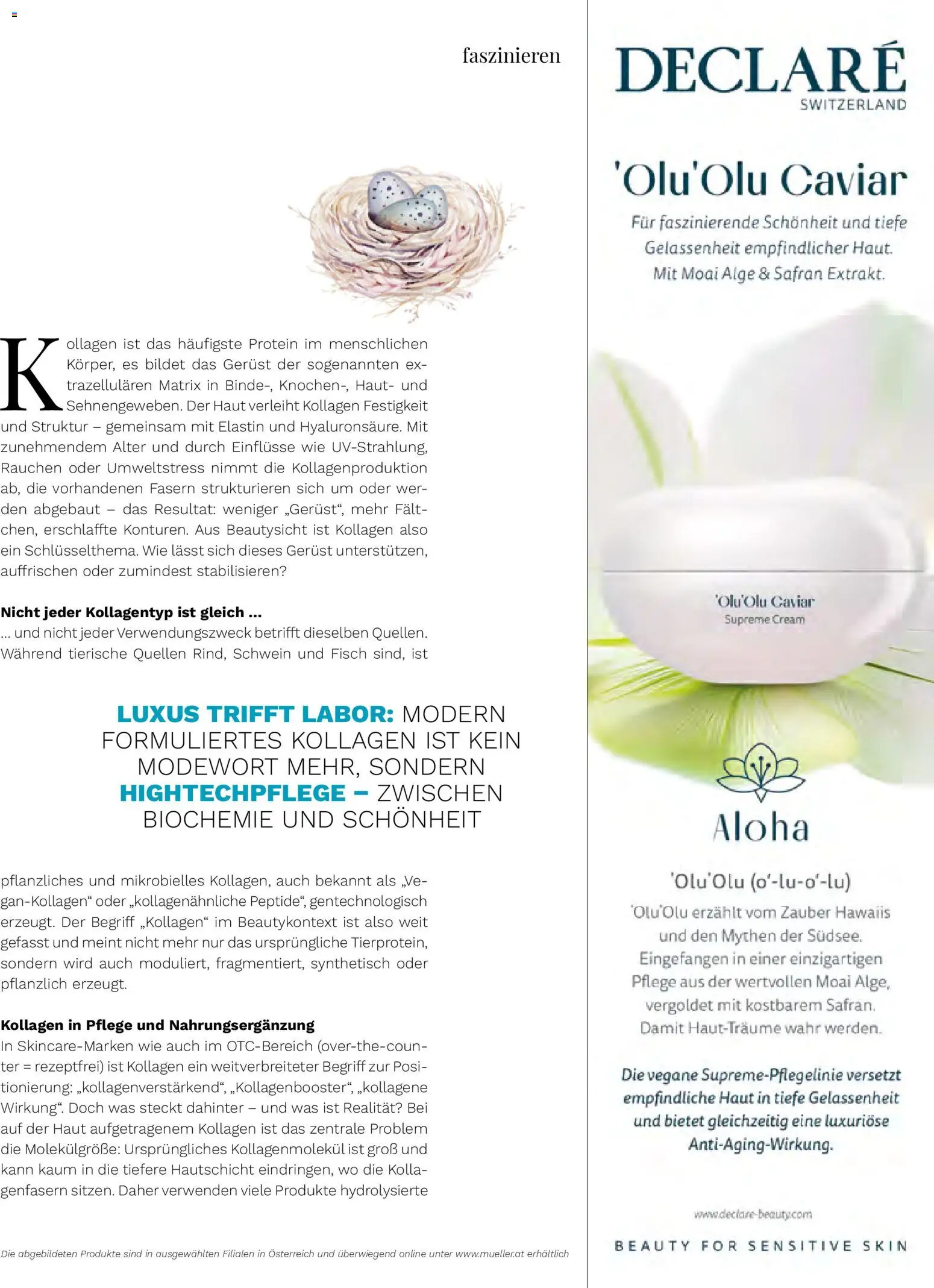 Müller Magazine Lifestyle 2/26 gültig ab 01.03.2026 | Seite: 11 | Produkte: Fisch