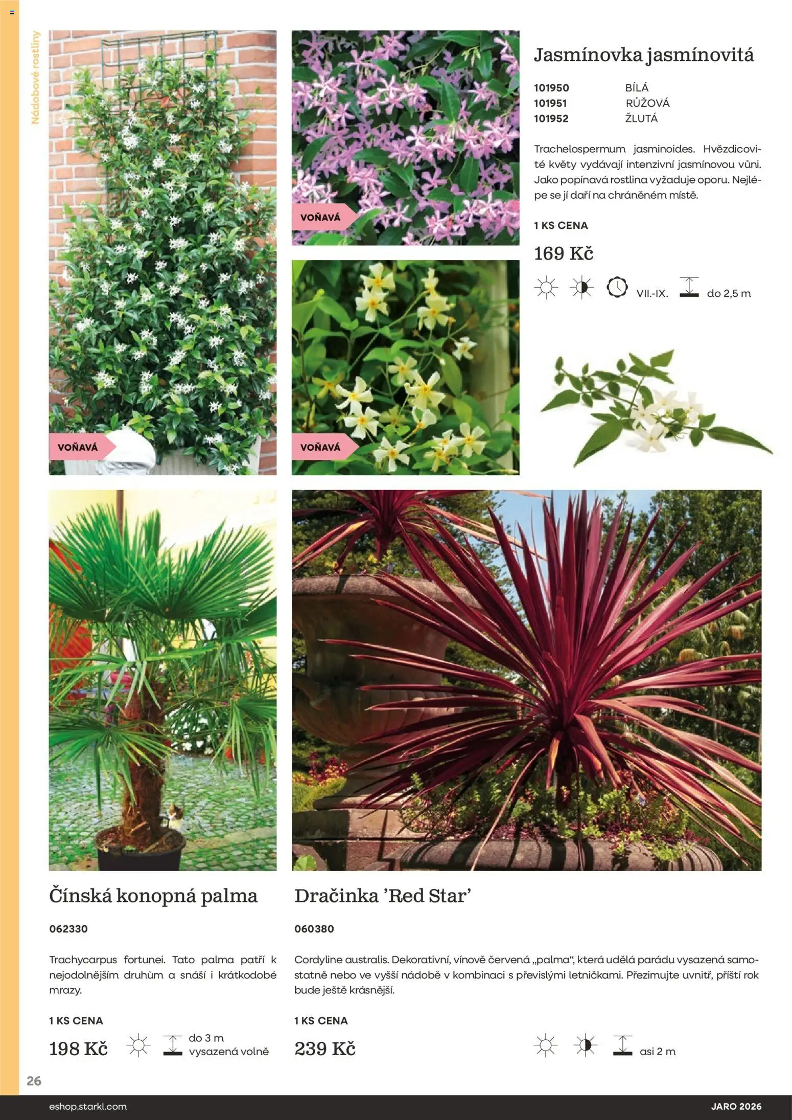 Starkl katalog Jaro 2026 od 25.02.2026 | Strana: 26 | Produkty: Rostliny