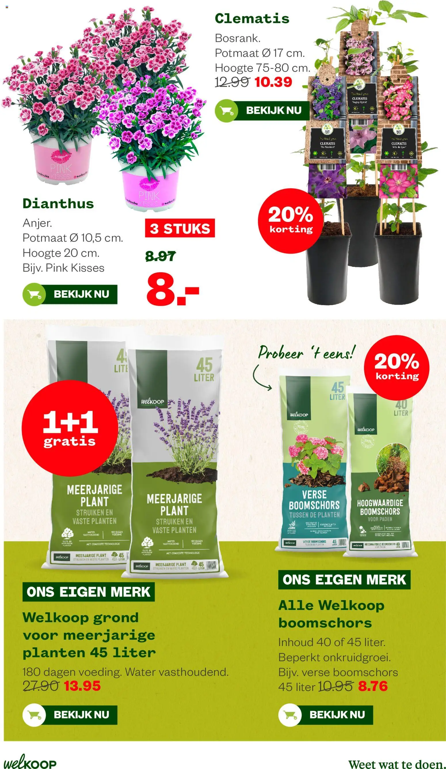 {H1} | Pagina: 10 | Producten: Festék